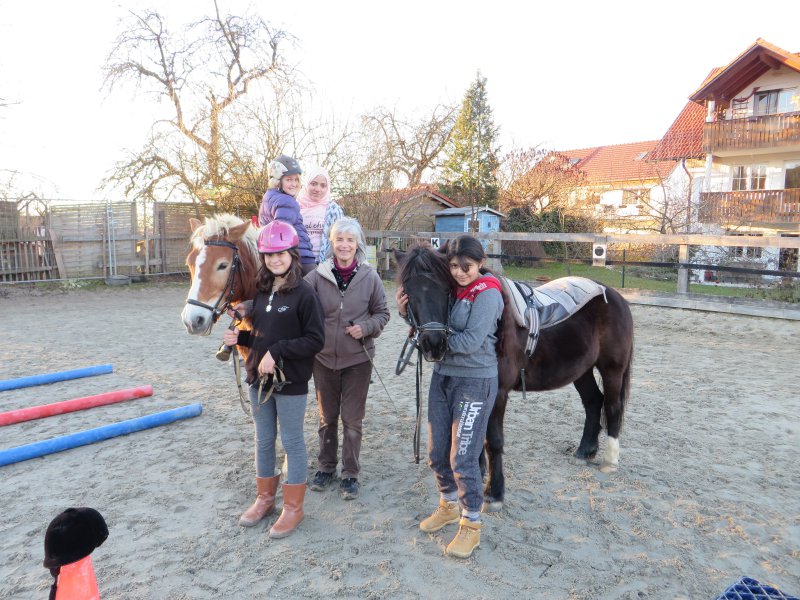 Pferde an der Schule - Lernen mit Pferden