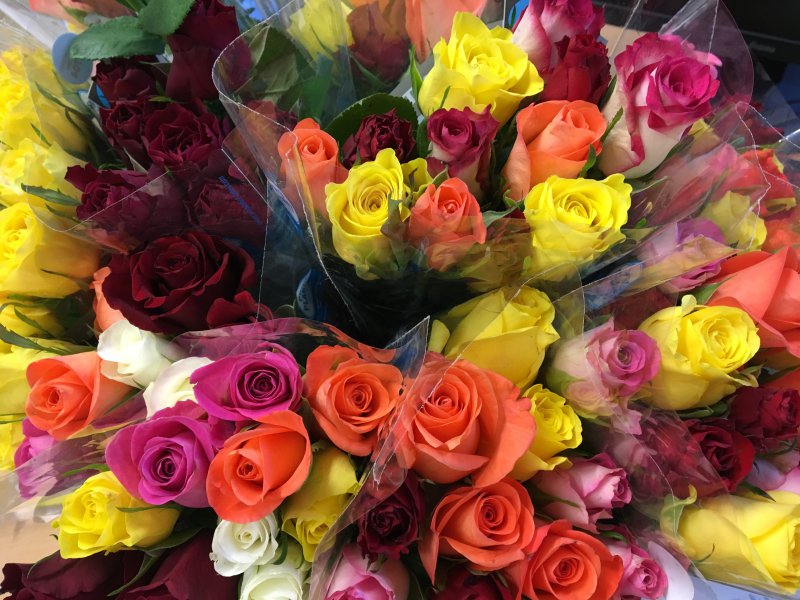 Schülerinnen und Schüler der Mittelschule Türkenfeld verschenken Rosen zum Valentinstag 2